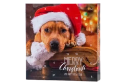 Adventskalender mit Hundeleckerlis