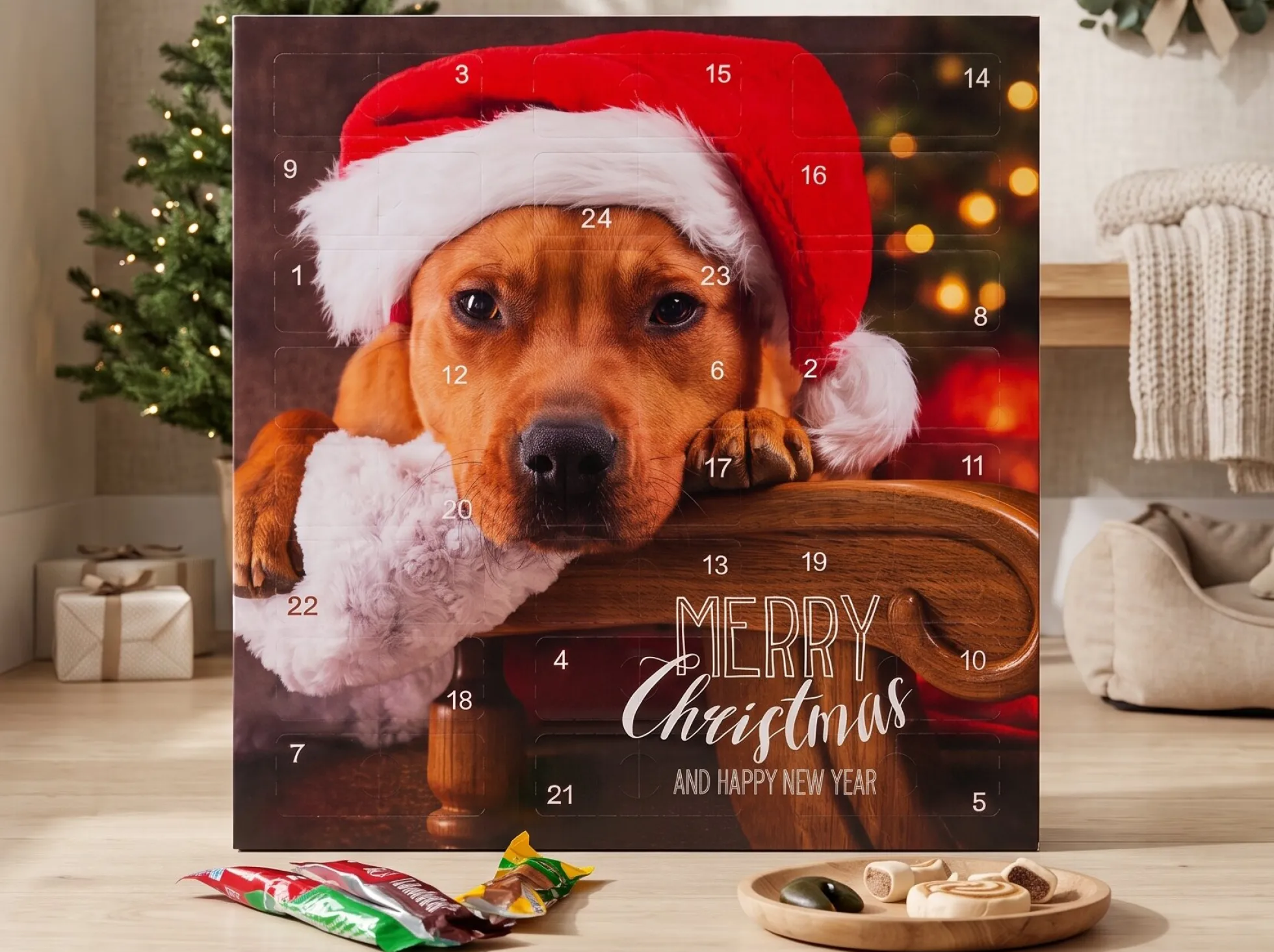 Adventskalender mit Hundeleckerlis