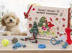 Adventskalender mit Hundespielzeug