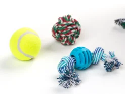 Adventskalender mit Hundespielzeug
