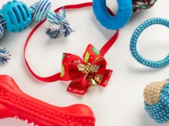 Adventskalender mit Hundespielzeug