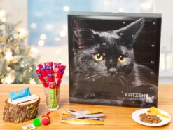 Adventskalender mit Katzenleckerlis