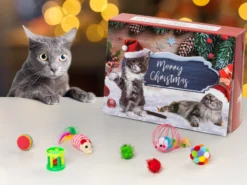 Adventskalender mit Katzenspielzeug