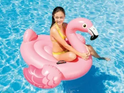 Aufblasbare Luftmatratze Flamingo – Intex