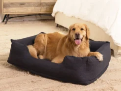 Aufblasbares Hundebett – Intex
