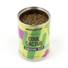 Cool Cactus Konservenpflanze