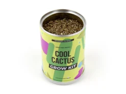 Cool Cactus Konservenpflanze