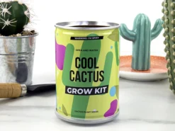Cool Cactus Konservenpflanze