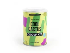 Cool Cactus Konservenpflanze