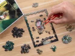 Das kleinste Puzzle der Welt