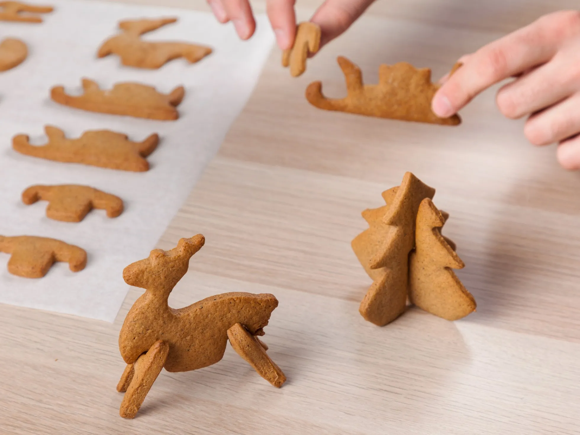 3D Ausstechformen Pfefferkuchen