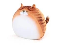 Dickes Katzenkissen