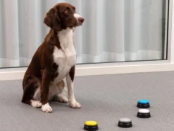 Einspielbare Kommandotasten Für Hunde - Spralla