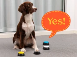 Einspielbare Kommandotasten Für Hunde - Spralla