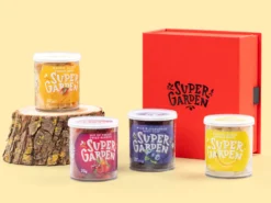 Geschenkbox mit Gefriergetrockneten Früchten & Beeren
