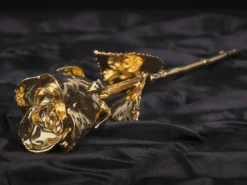 Goldrose