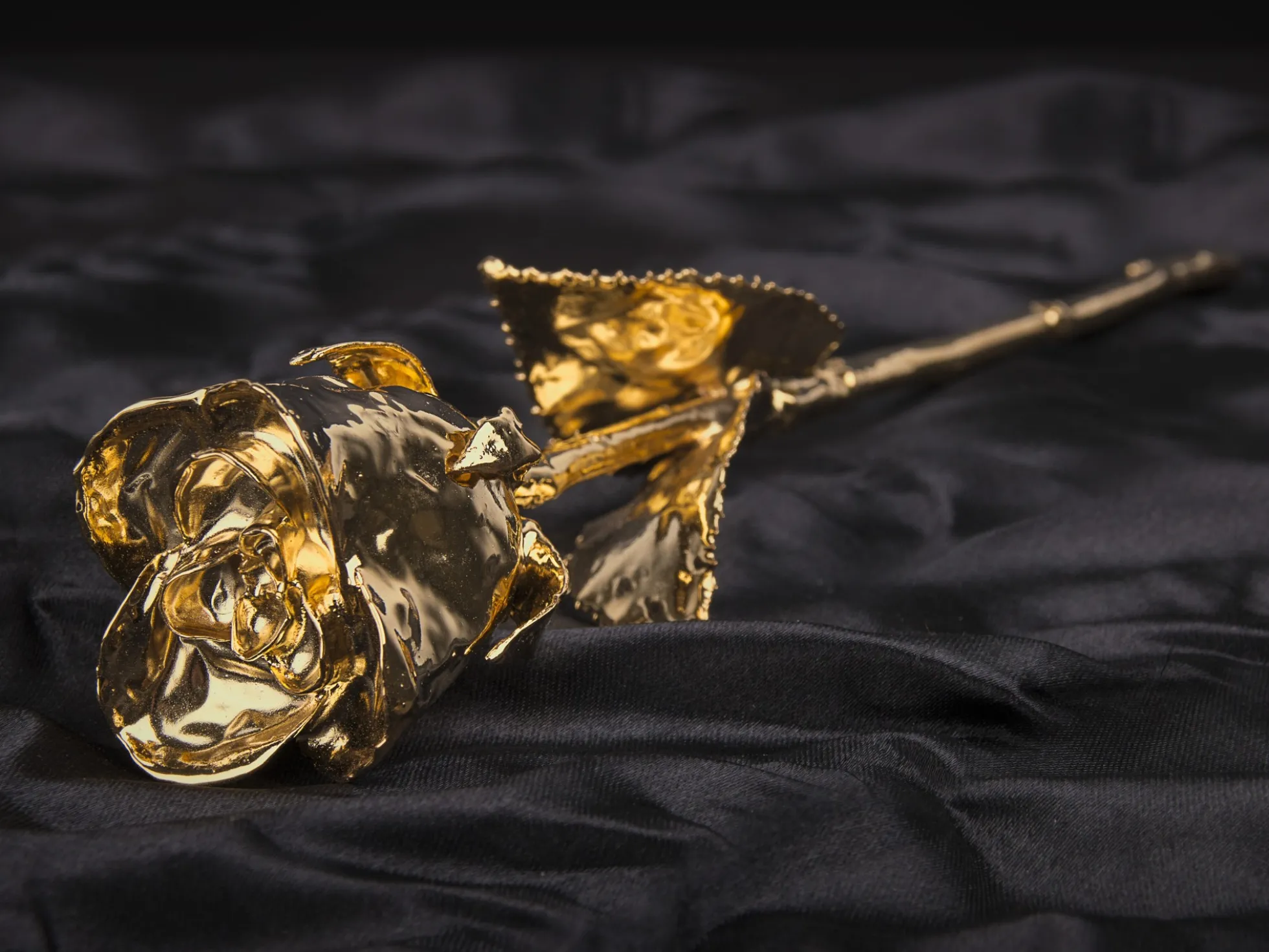 Goldrose