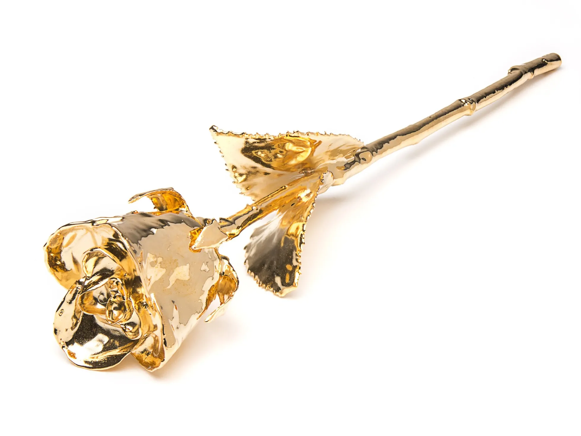 Goldrose