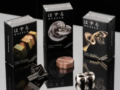 Hanayama Huzzle Puzzles Level 6