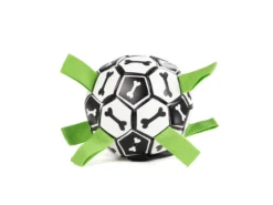 Hundefußball