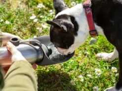 Hundetrinkflasche - Utenu