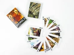 Kartenspiel Mit Motiv