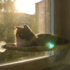 Katzenbett Für Die Fensterbank