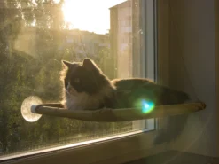 Katzenbett Für Die Fensterbank