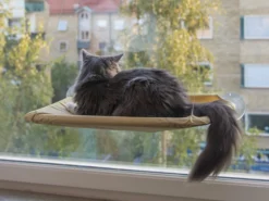 Katzenbett Für Die Fensterbank