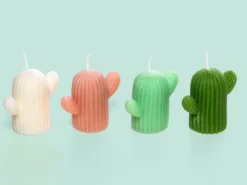 Kerze - Kaktus 1-Pack