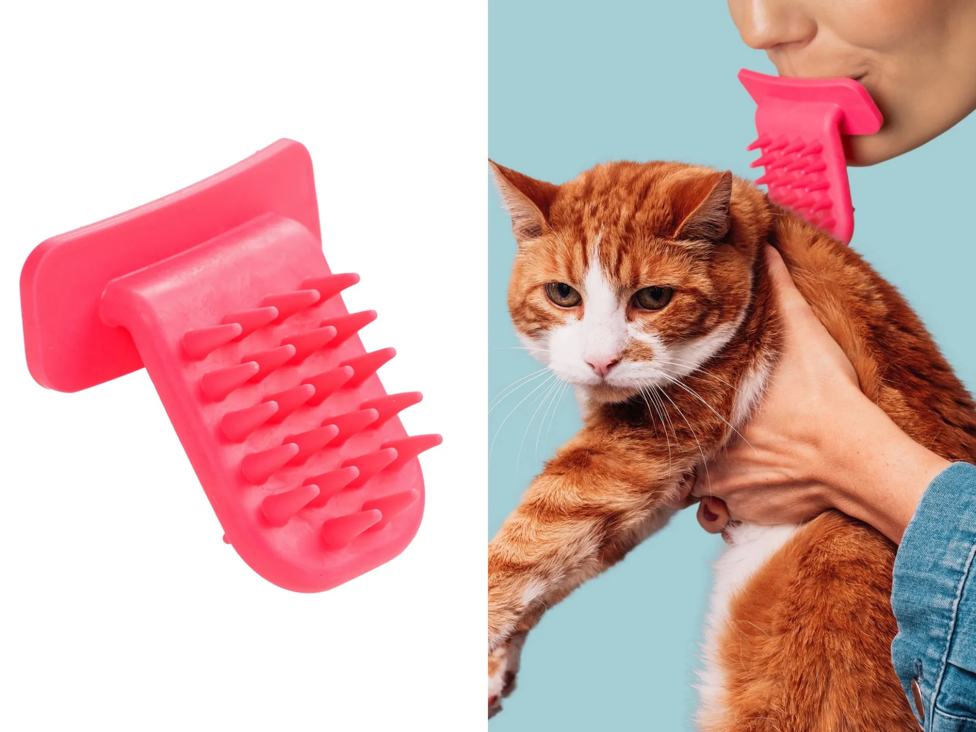 Lick Katzenbürste