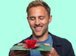 Pop-Up-Karte - Rote Rose