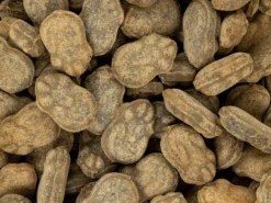 Pulvergefüllte Kröte Süßigkeiten 3,5 kg