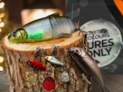 Savage Gear Fischkalender
