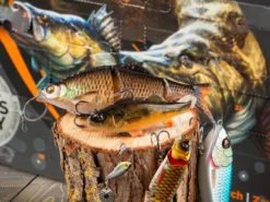 Savage Gear Fischkalender