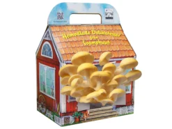 Schwedisches Pilzhaus