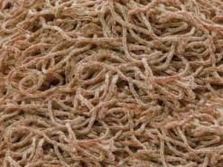 Spaghetti Cola Süßigkeiten 1 kg