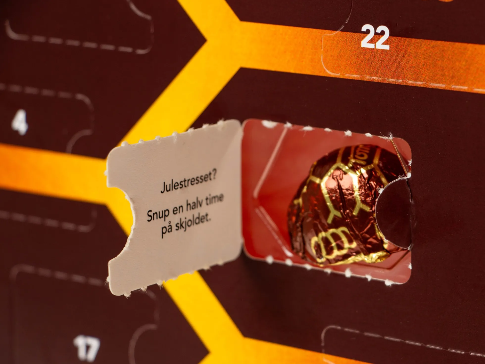 Toms Schildkröten Adventskalender