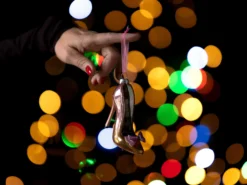 Weihnachtsbaumschmuck Stöckelschuh