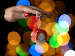Weihnachtsbaumschmuck Sushi