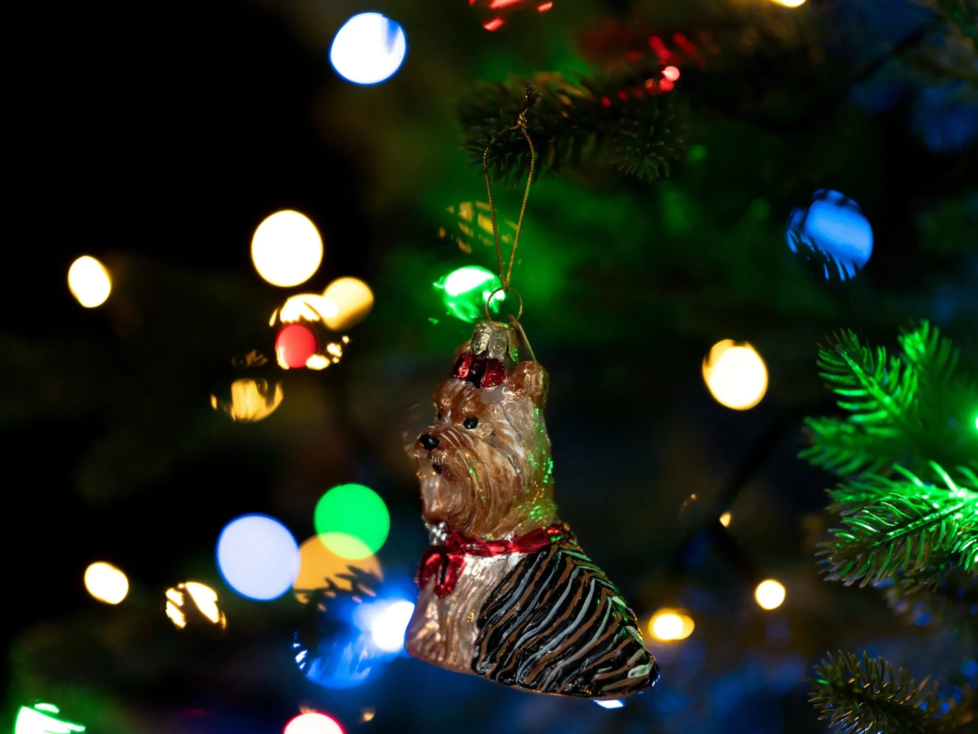 Weihnachtsbaumschmuck Yorkshire Terrier